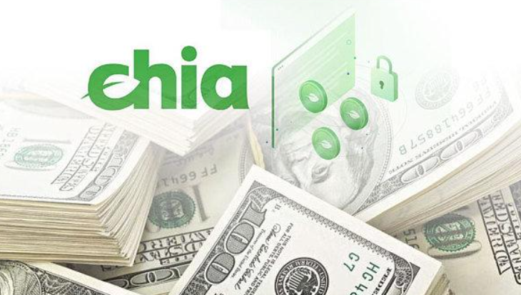 Chia節點沒有連接該如何解決？.png