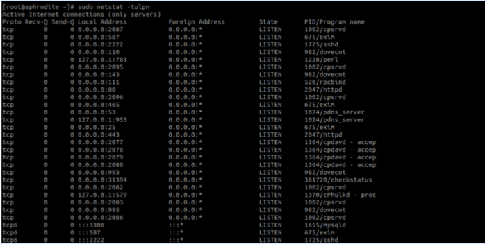 如何在Linux服務器中實時觀察 TCP 和 UDP 端口？.png