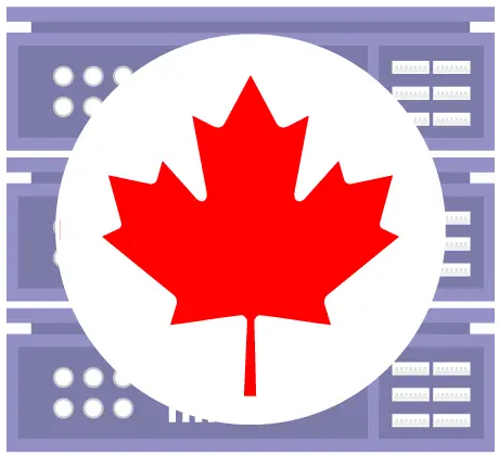 641aa67a3a478.png 如何租到性價比高的加拿大服務器?.png