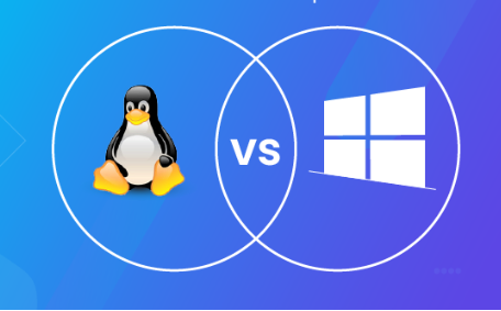 如何在Linux和Windows上優化VPS性能？.png
