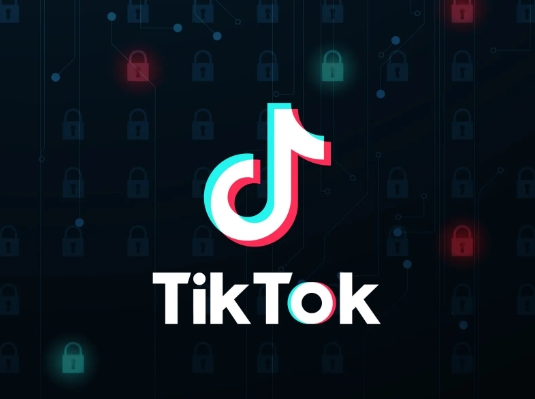 tiktok專線網(wǎng)絡搭建的詳細流程.png